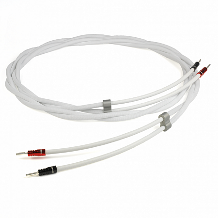 Chord Sarum T Speaker Cable 2x3m