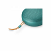 Bang & Olufsen Beosound A1 3.Gen. - Eucalyptus Green