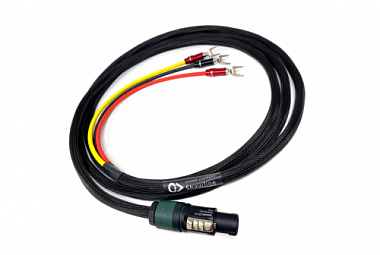 Chord Shawline LFE 3m